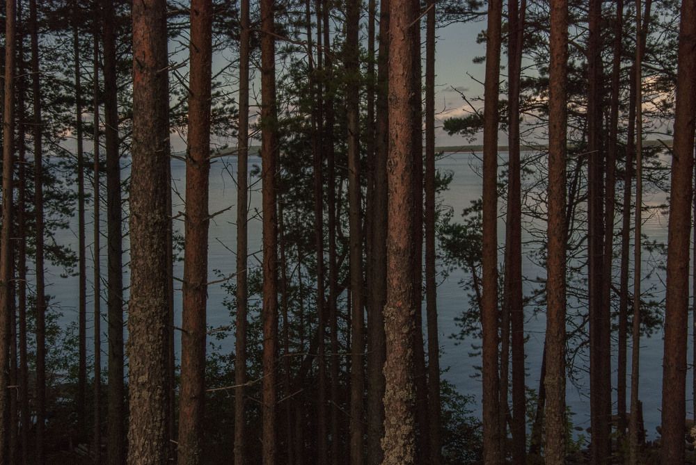 Сосновый Бесов Нос