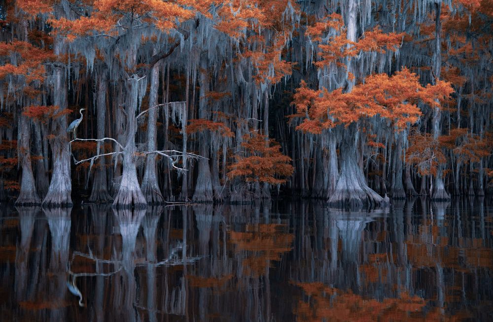 Photograph by George