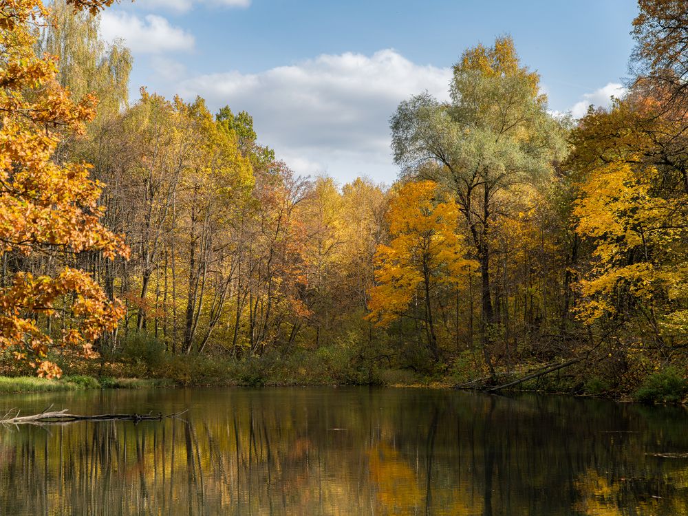 Photograph by Евгений Козлов