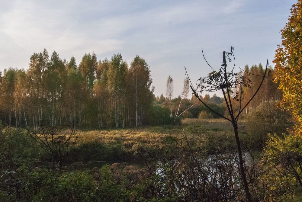 Photograph by Полина Голубь