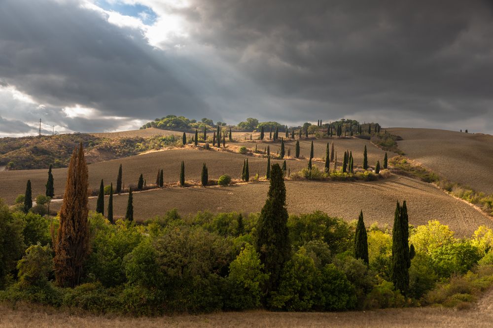 Photograph by Евгения Чех