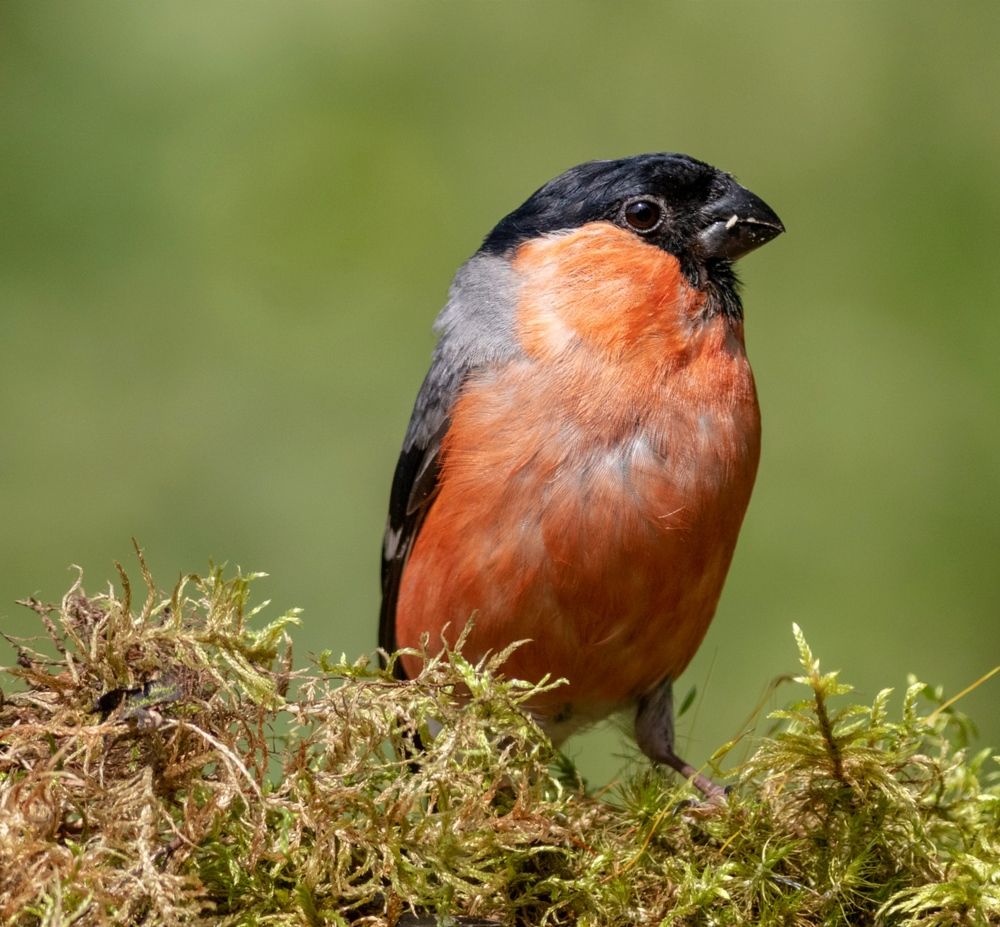 Photograph by Павел Краснослободцев