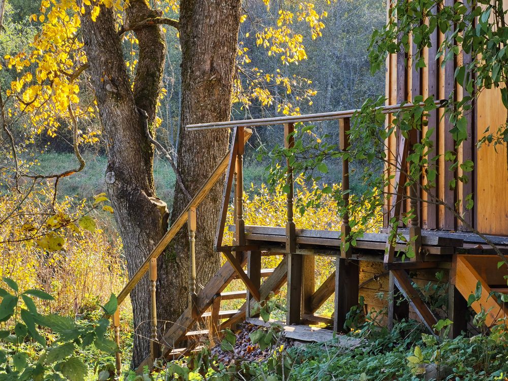 Photograph by Дарья