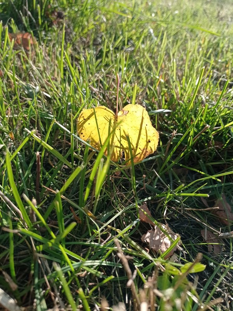 Photograph by Ирина Марченко