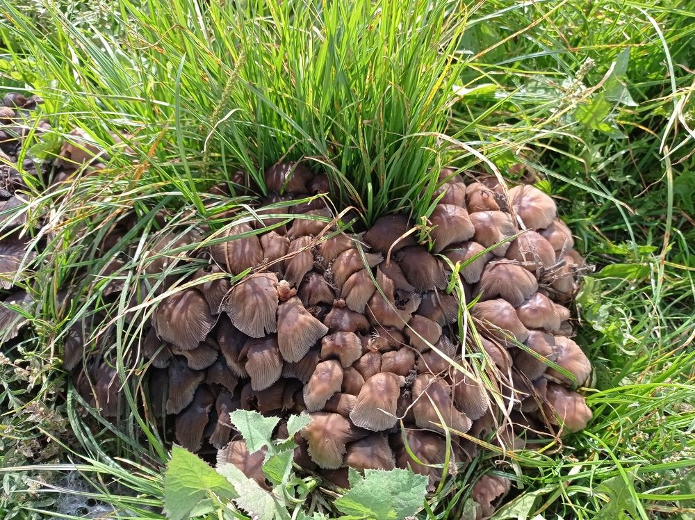 Photograph by Ирина Марченко