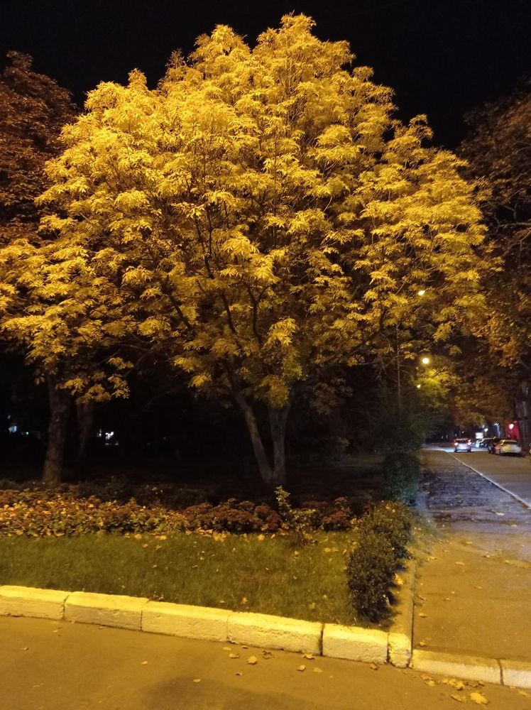 Photograph by Ирина Марченко