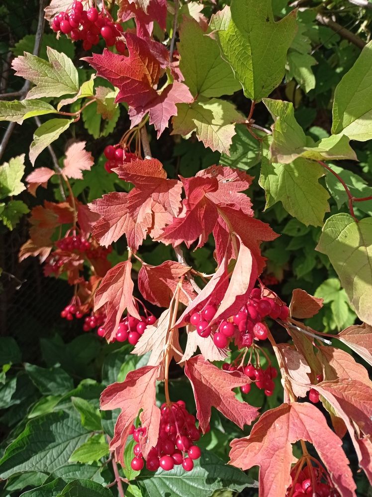 Photograph by Ирина Марченко