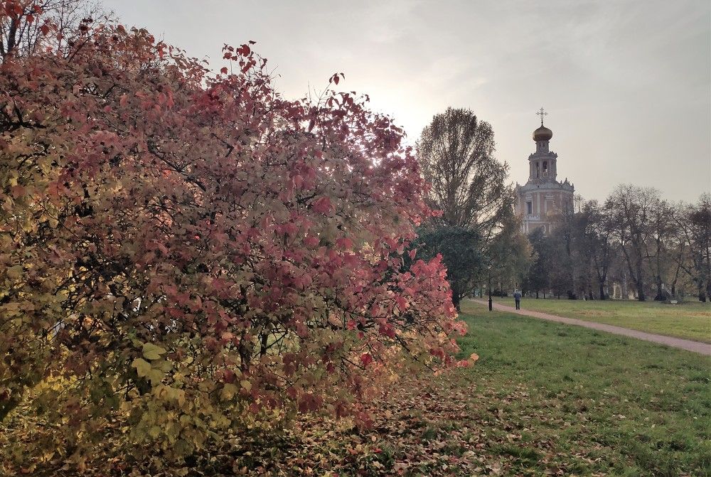 Photograph by Екатерина Иваненко