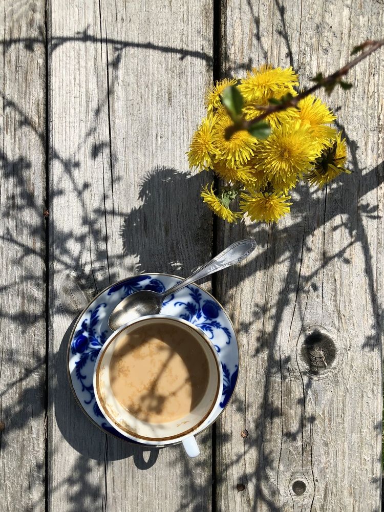 Good morning, sunbeams!