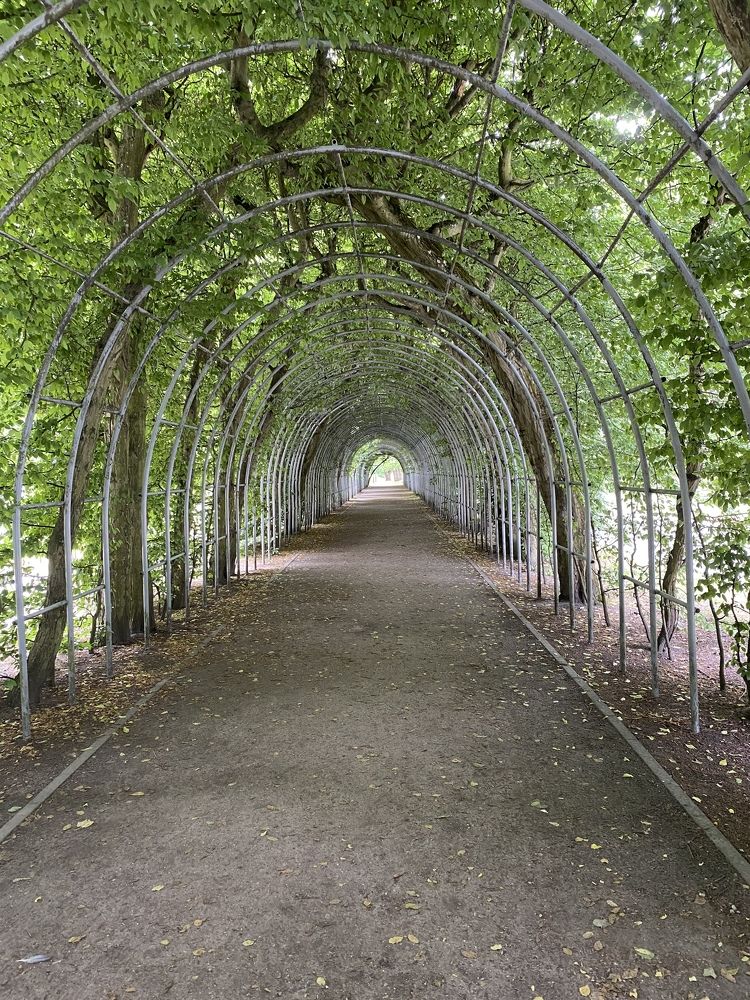 Photograph by Olga Rogala