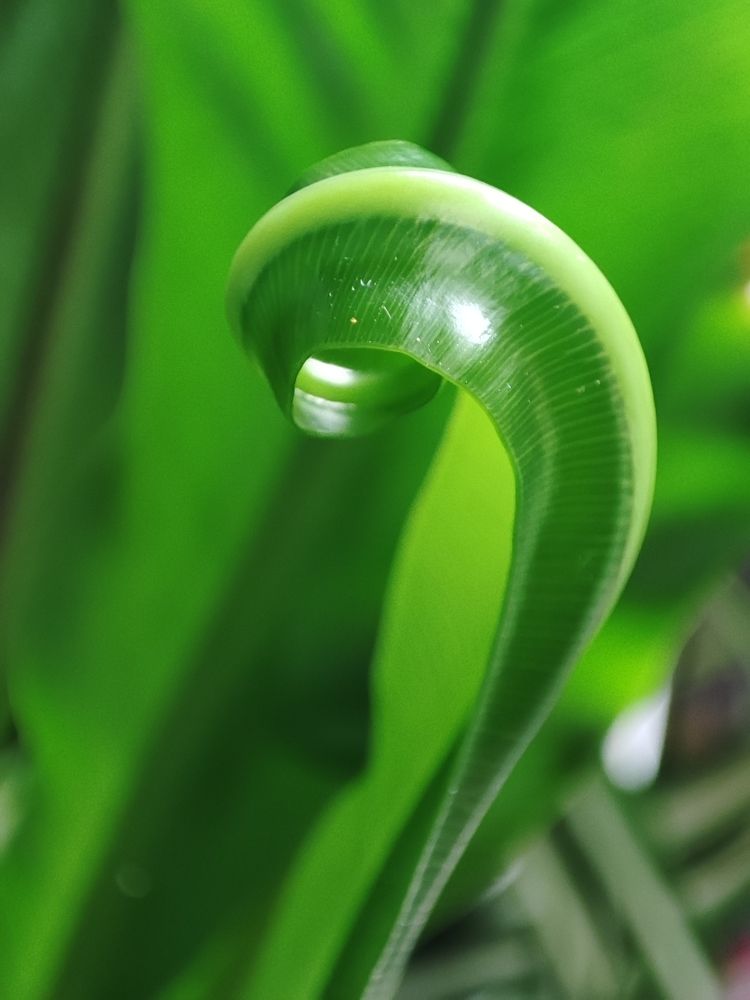 Photograph by Екатерина Иваненко