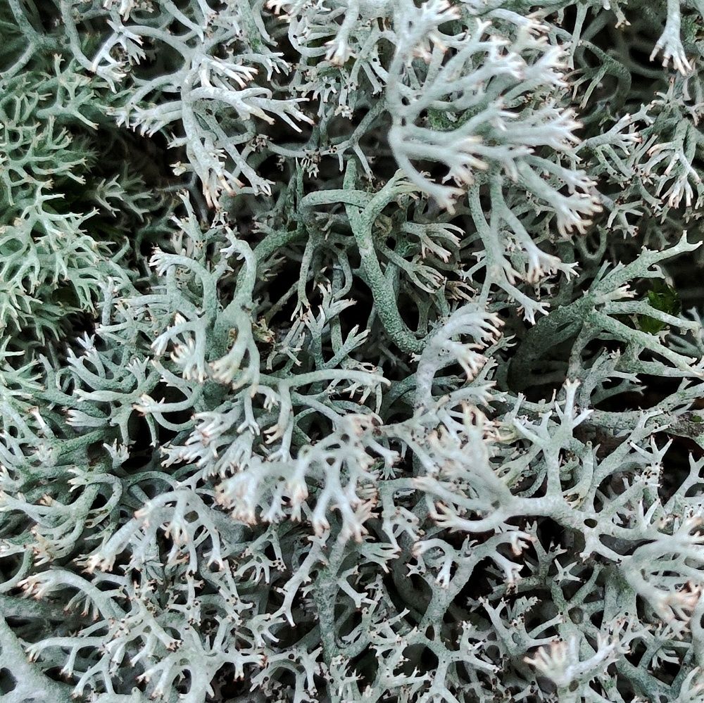 Photograph by Татьяна Шарко