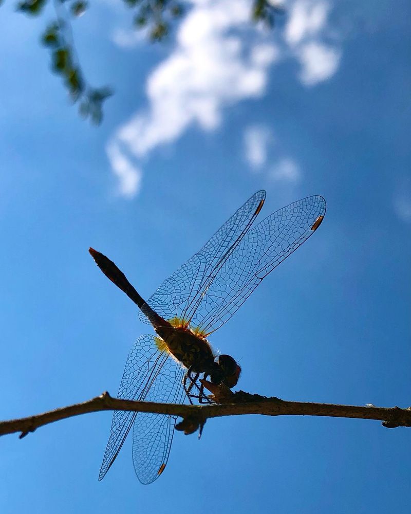 Photograph by Анастасия