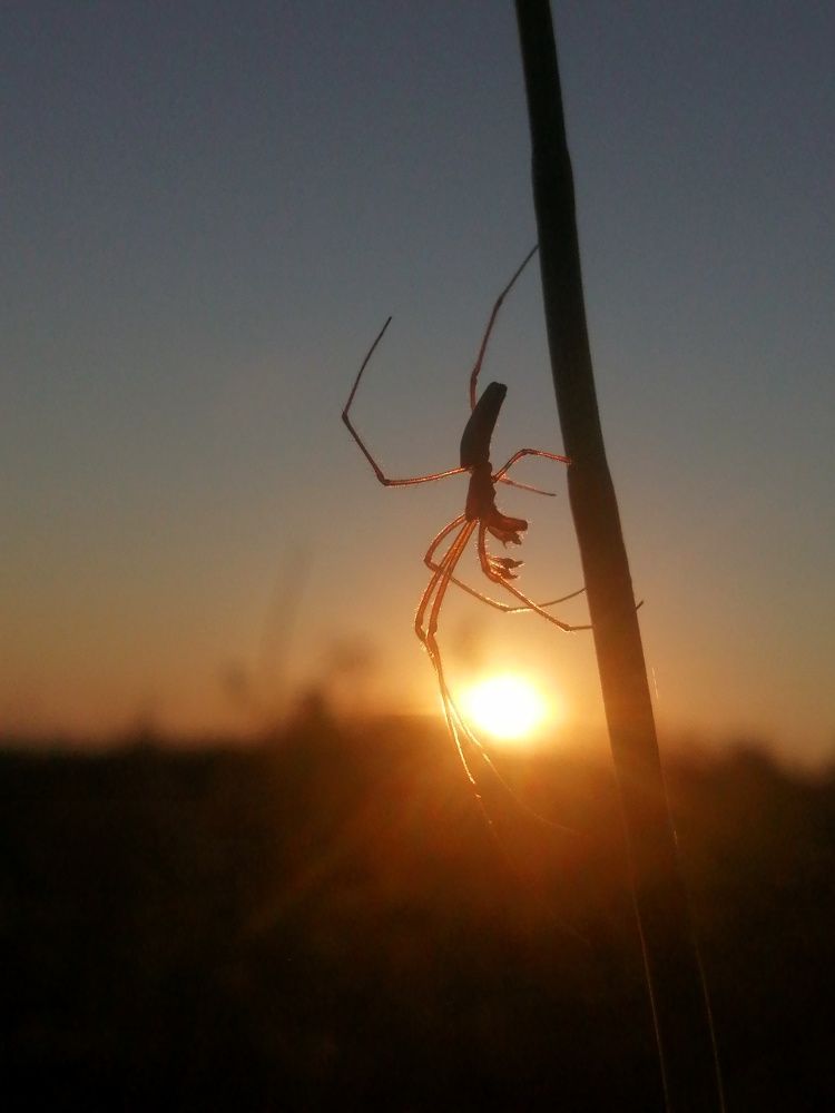 Photograph by Полина Зайцева