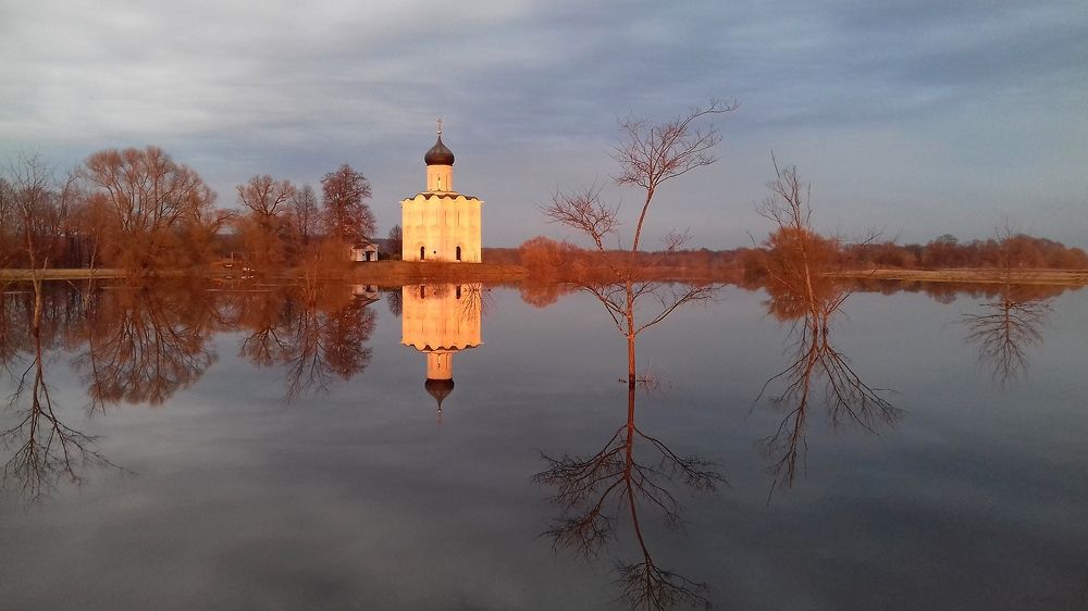 Photo #6660529