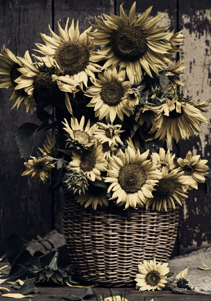 Photograph by Богдан Тарасов