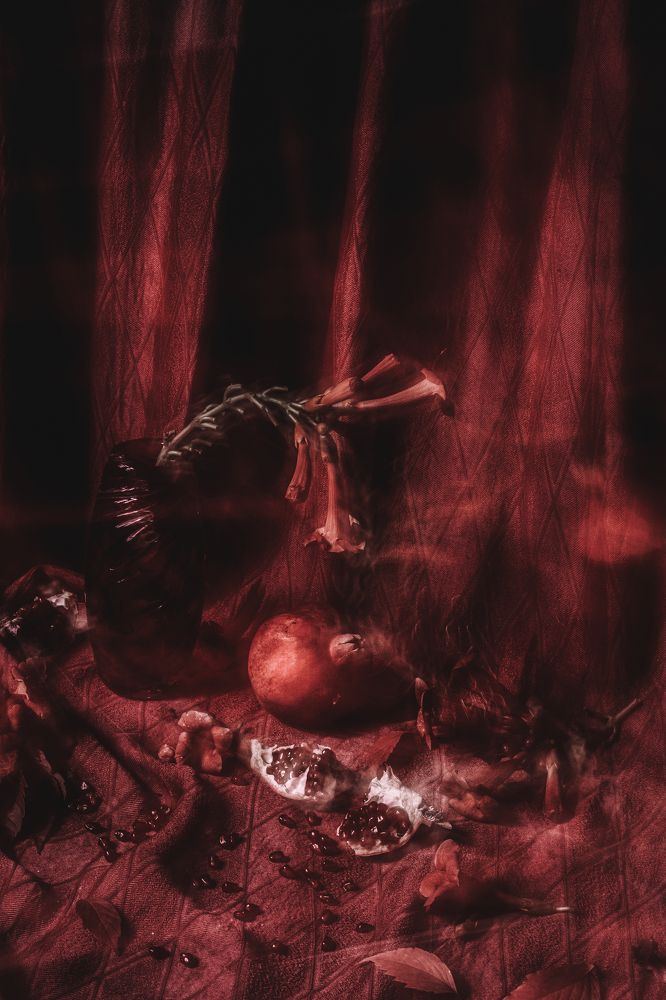 Красный Натюрморт