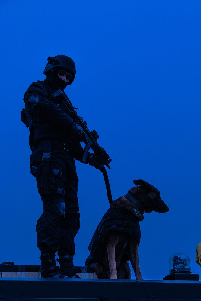 Photograph by dhruv sharma