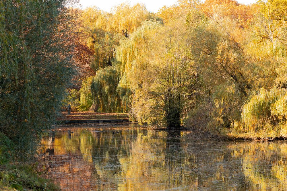 Photograph by Stanislav Zaytsev