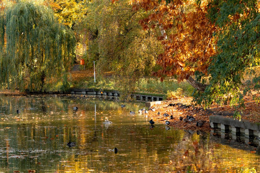 Photograph by Stanislav Zaytsev