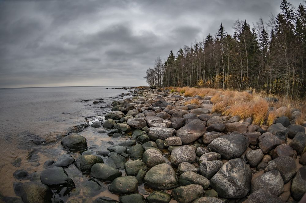 Берег Ладожского озера