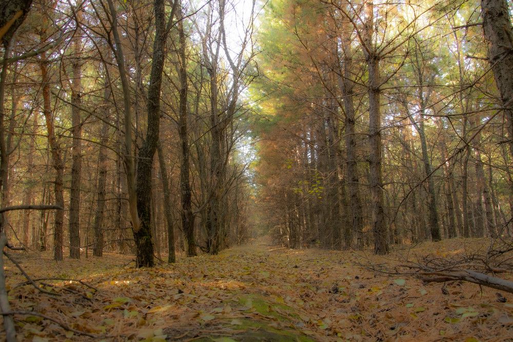 Photograph by Рашид Койлыбаев