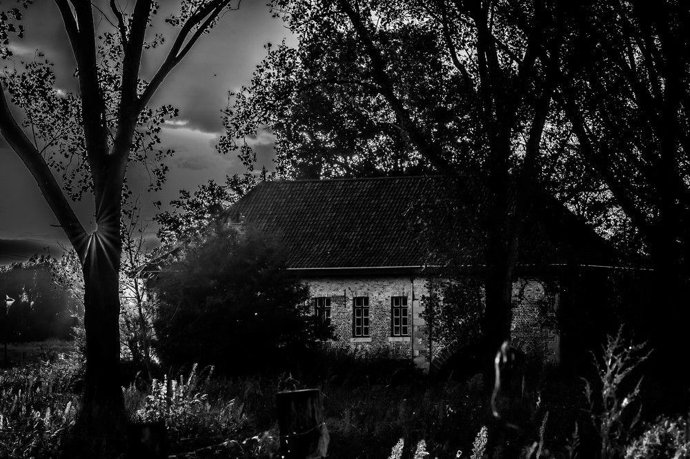 Photograph by Wendy Vanhoudt