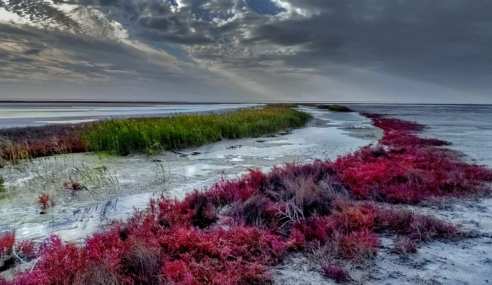 Photograph by Вячеслав