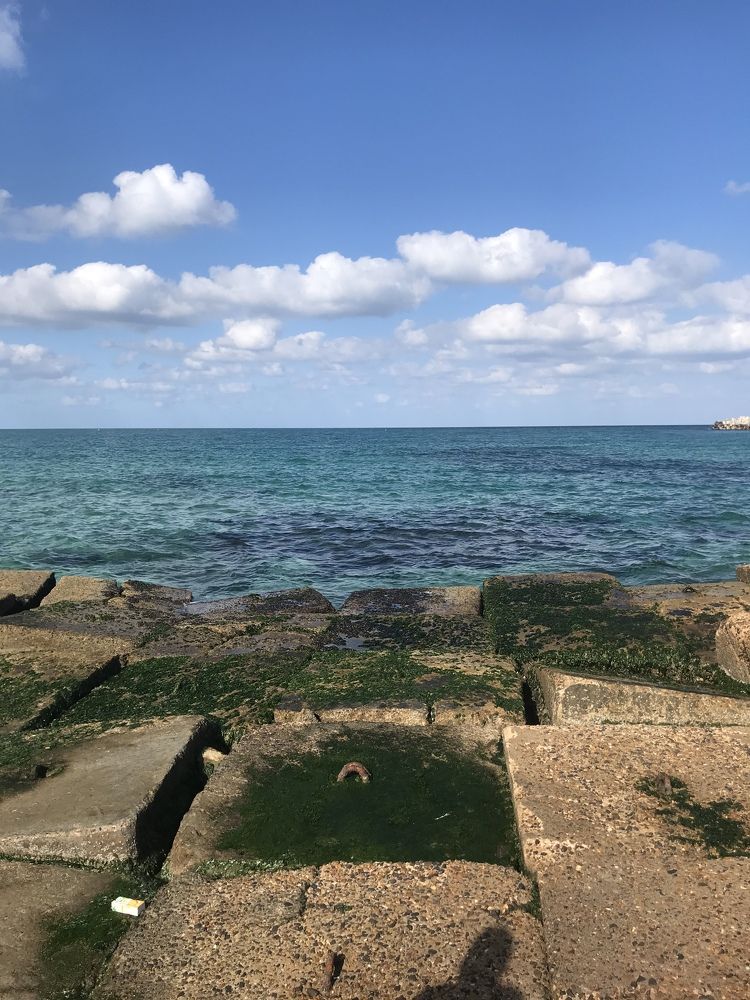 Фотография автора Hala ali