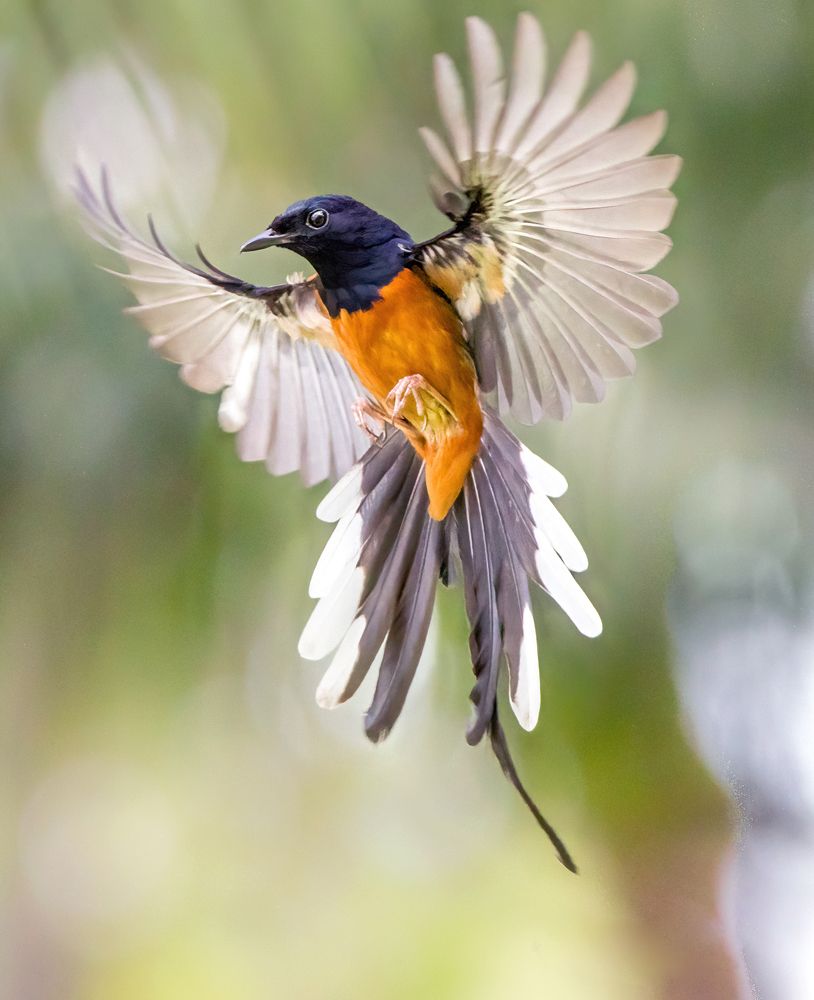 Photograph by Văn Bình Phan