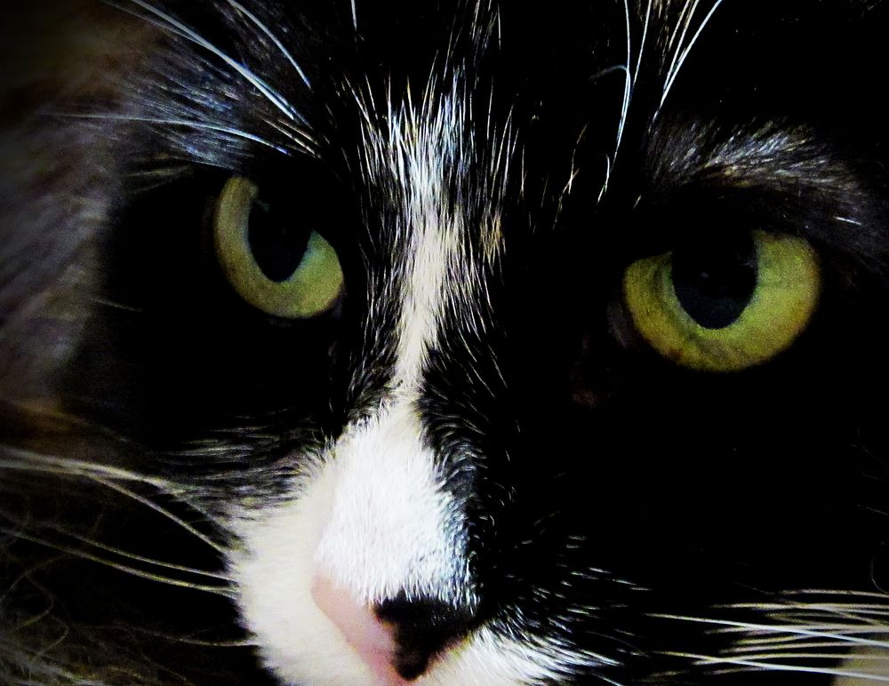 Photograph by Игорь Быков