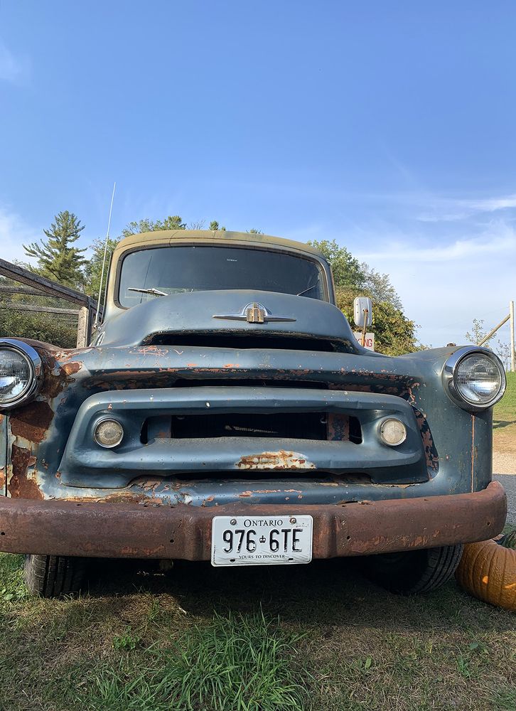 Photograph by Liliana Grup