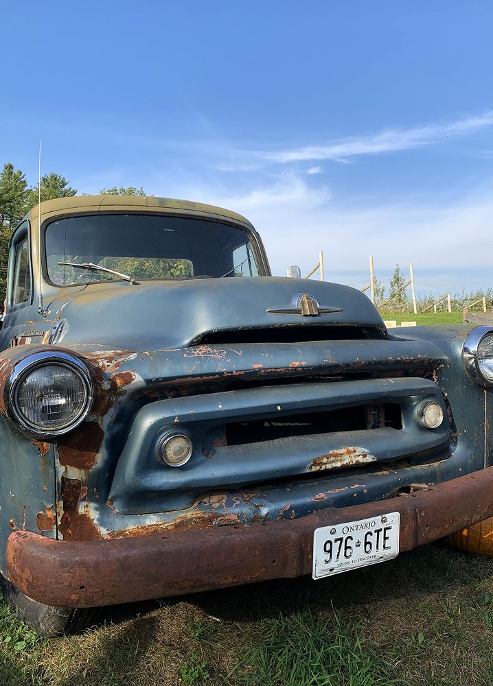 Photograph by Liliana Grup