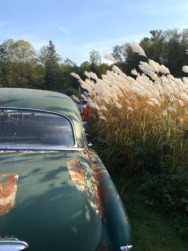 Photograph by Liliana Grup