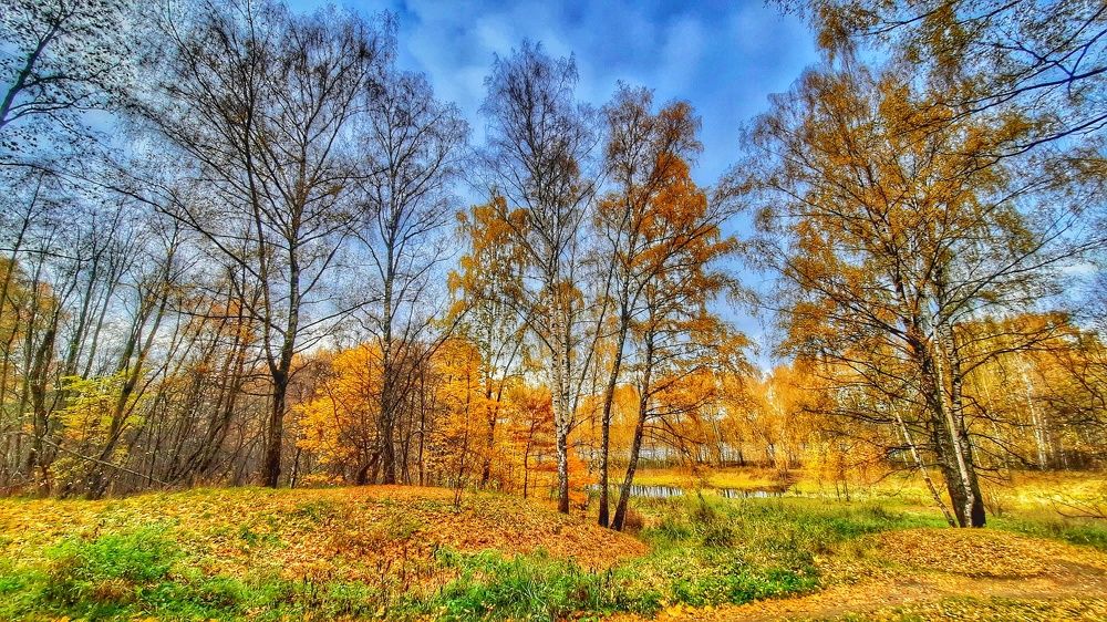 Photograph by Василий Фроленок