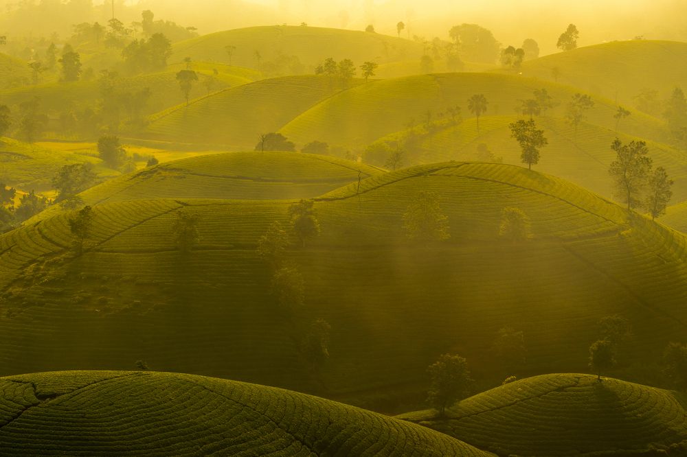 Sunny autumn in Long Coc