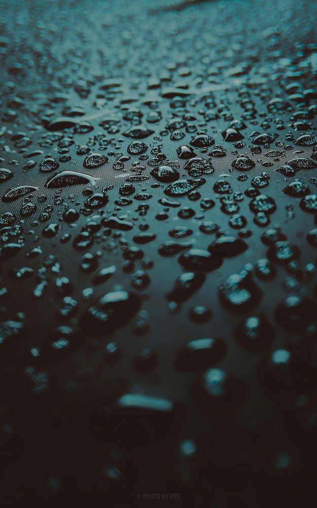 Photograph by Rashmi Ranjan Sahoo