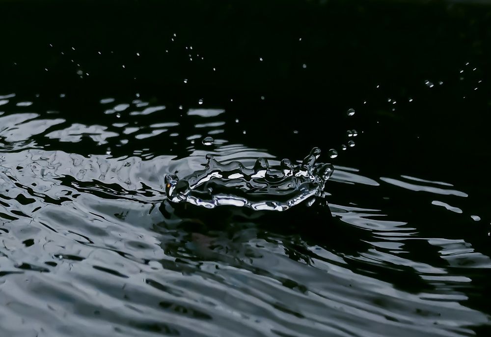 Photograph by Rashmi Ranjan Sahoo