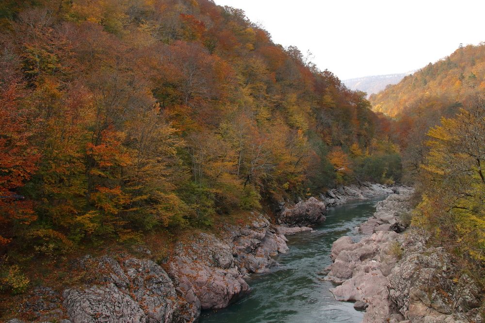 Photograph by Виктория Бережок