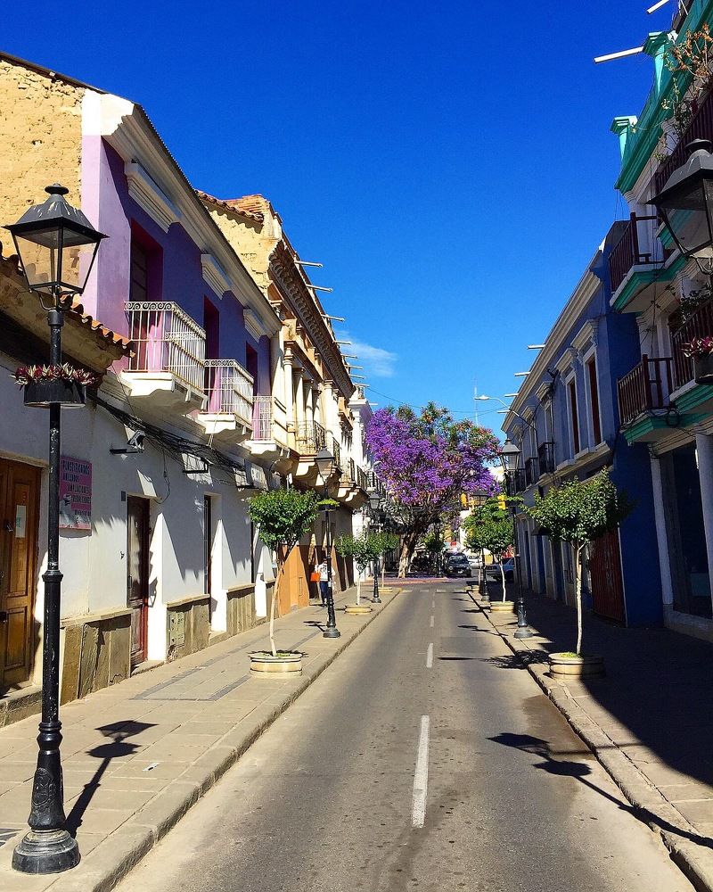 Photograph by Omar Ledesma Aranguren