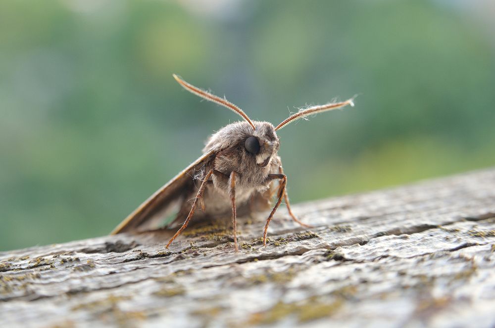 Photograph by Юрий Усенко