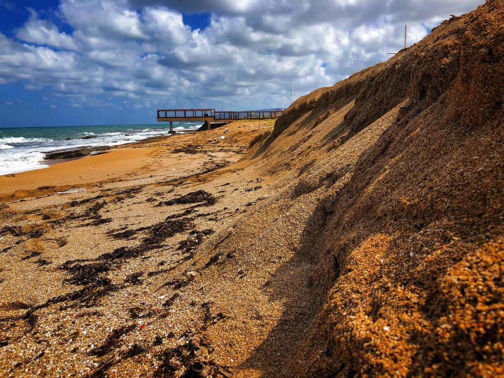 Photograph by Daniel Sharir