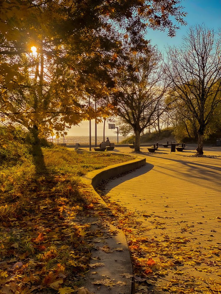 Photograph by Jevgenijs Isajevs