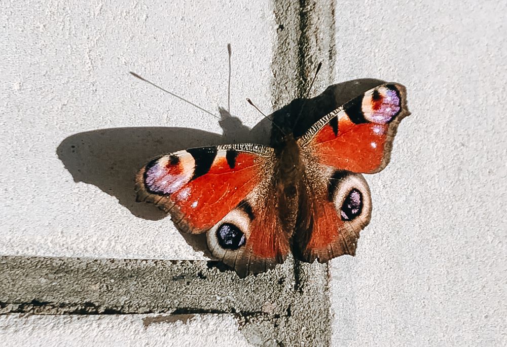 Photograph by Kseniia Baron