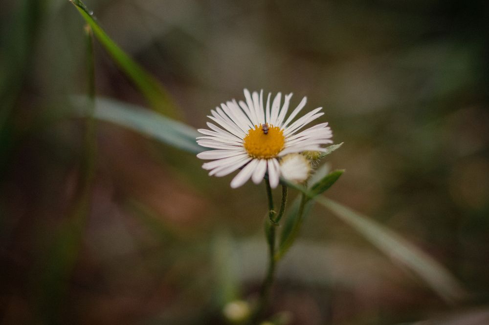 Photograph by Kseniia Baron