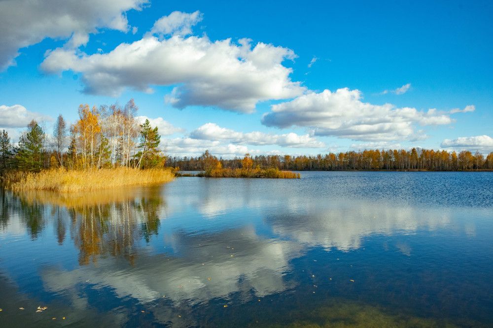 Фотография автора Екатерина Счасная