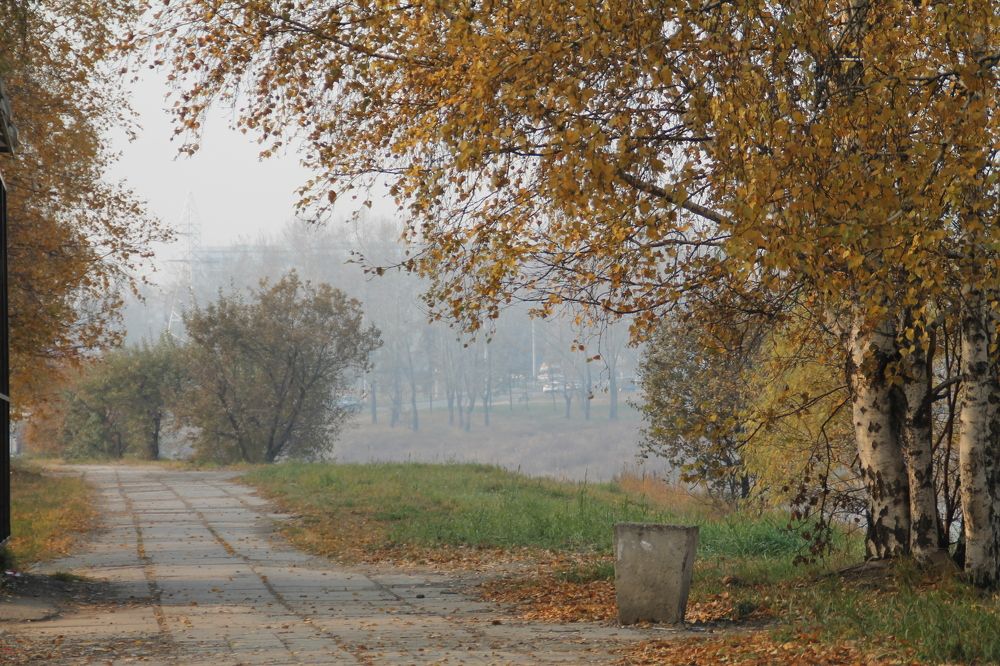 Photograph by Артем Илошваи