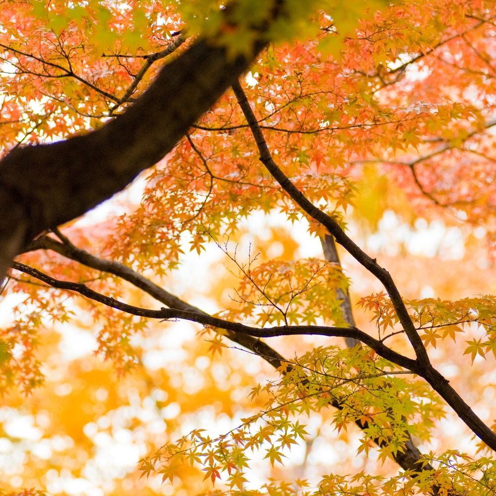 Photograph by mypure heart