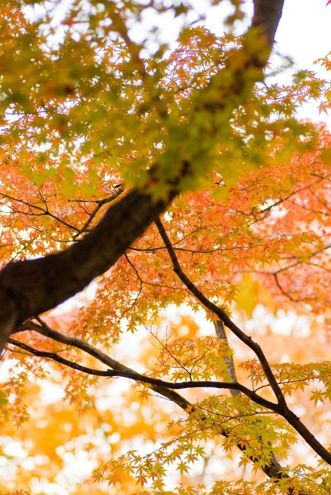 Photograph by mypure heart