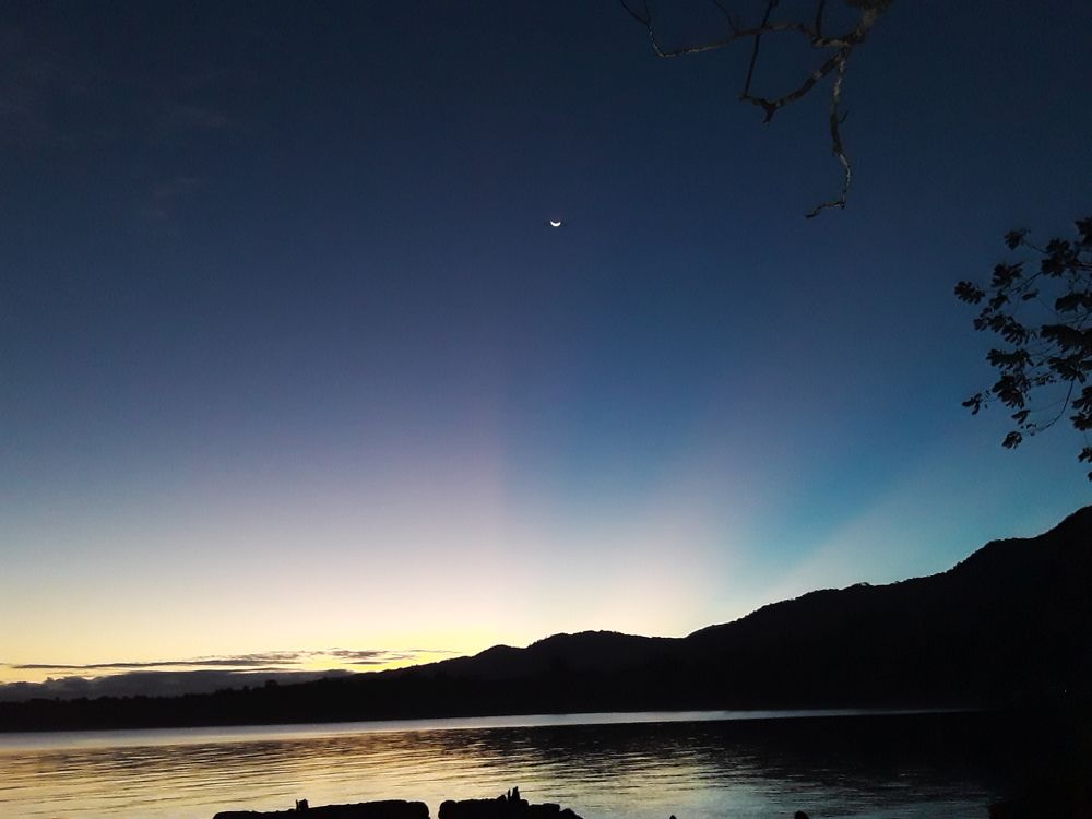 Photo #6661349